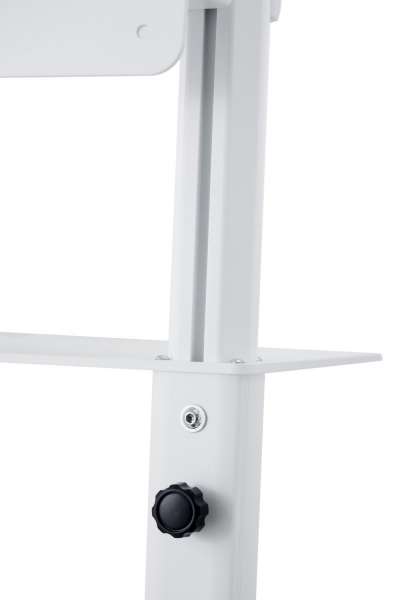 Trolley mit drehbarem Kopf und Höhenverstellung für Samsung Flip 55-65"