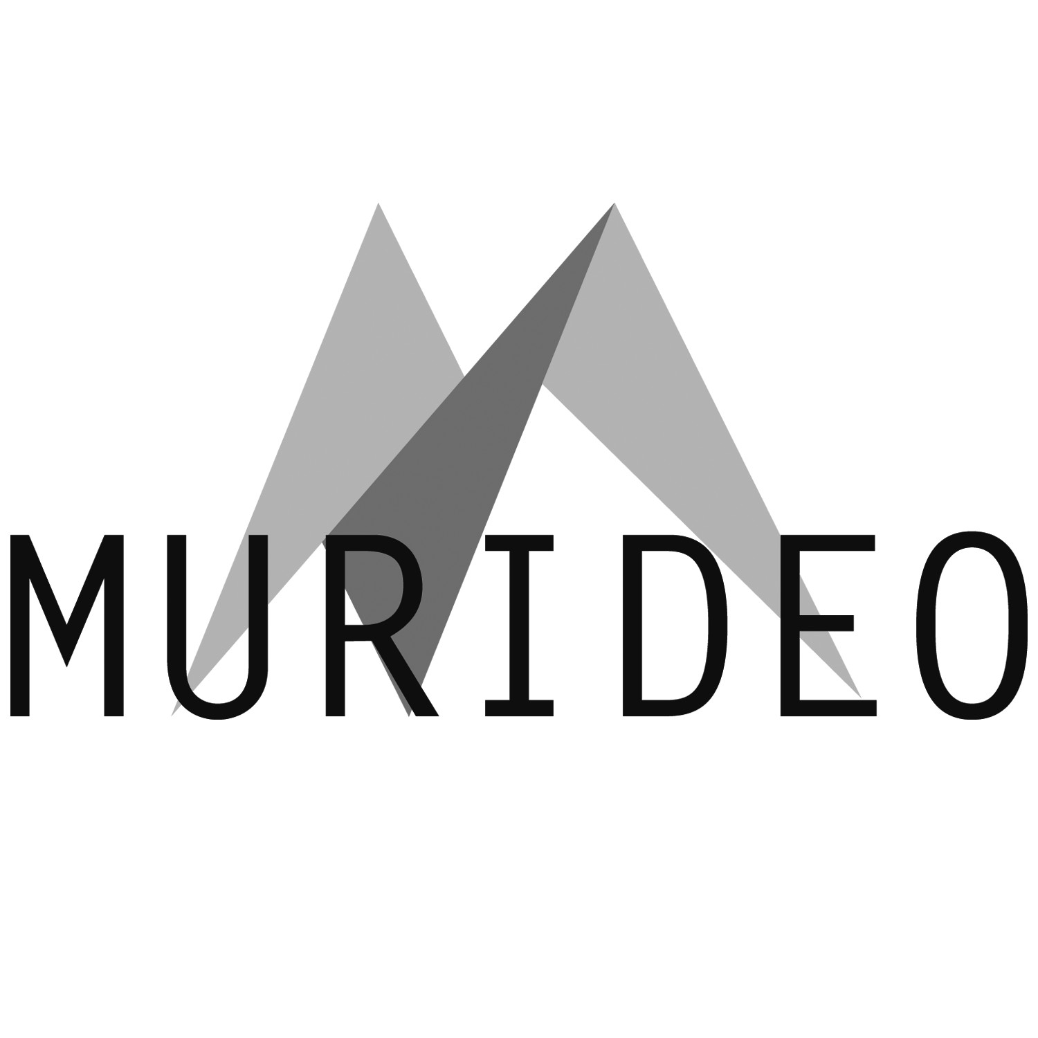 Murideo