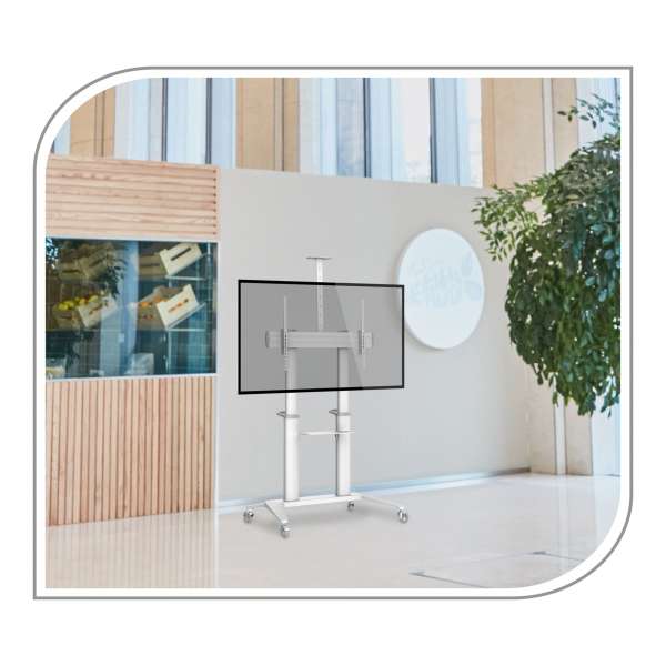 PureMounts® Premium TV Cart - Single Display bis 120", weiß
