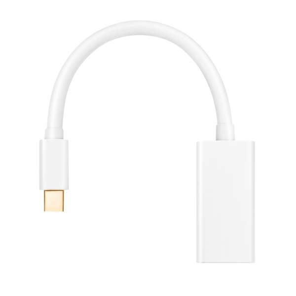 HDSupply Mini DisplayPort/HDMI Adapter 1080p HDSupply Mini DisplayPort/HDMI Adapter 1080p