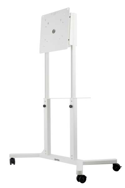 Trolley mit drehbarem Kopf und Höhenverstellung für Samsung Flip 55-65"