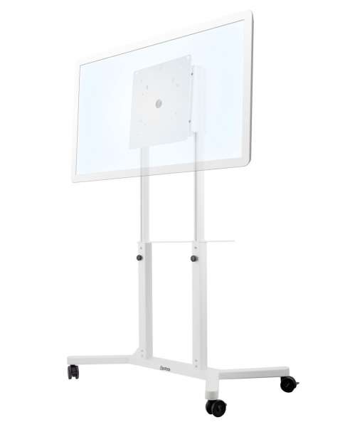 Trolley mit drehbarem Kopf und Höhenverstellung für Samsung Flip 55-65"