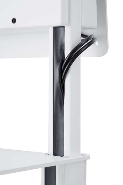 Trolley mit drehbarem Kopf und Höhenverstellung für Samsung Flip 55-65"