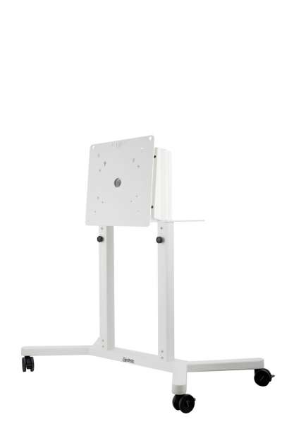 Trolley mit drehbarem Kopf und Höhenverstellung für Samsung Flip 55-65"